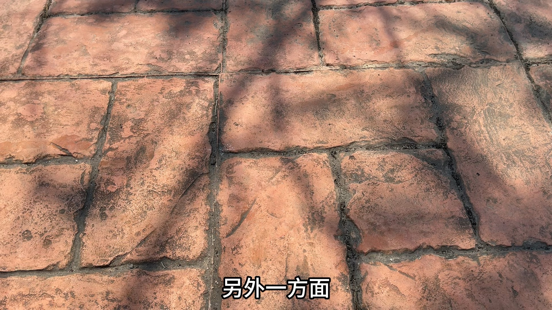 聊聊关于惯性农法作物跟自然农法作物的区别,认真看完,一定会有收获。-阿勇的自然农场-阿勇的自然农场-哔哩哔哩视频
