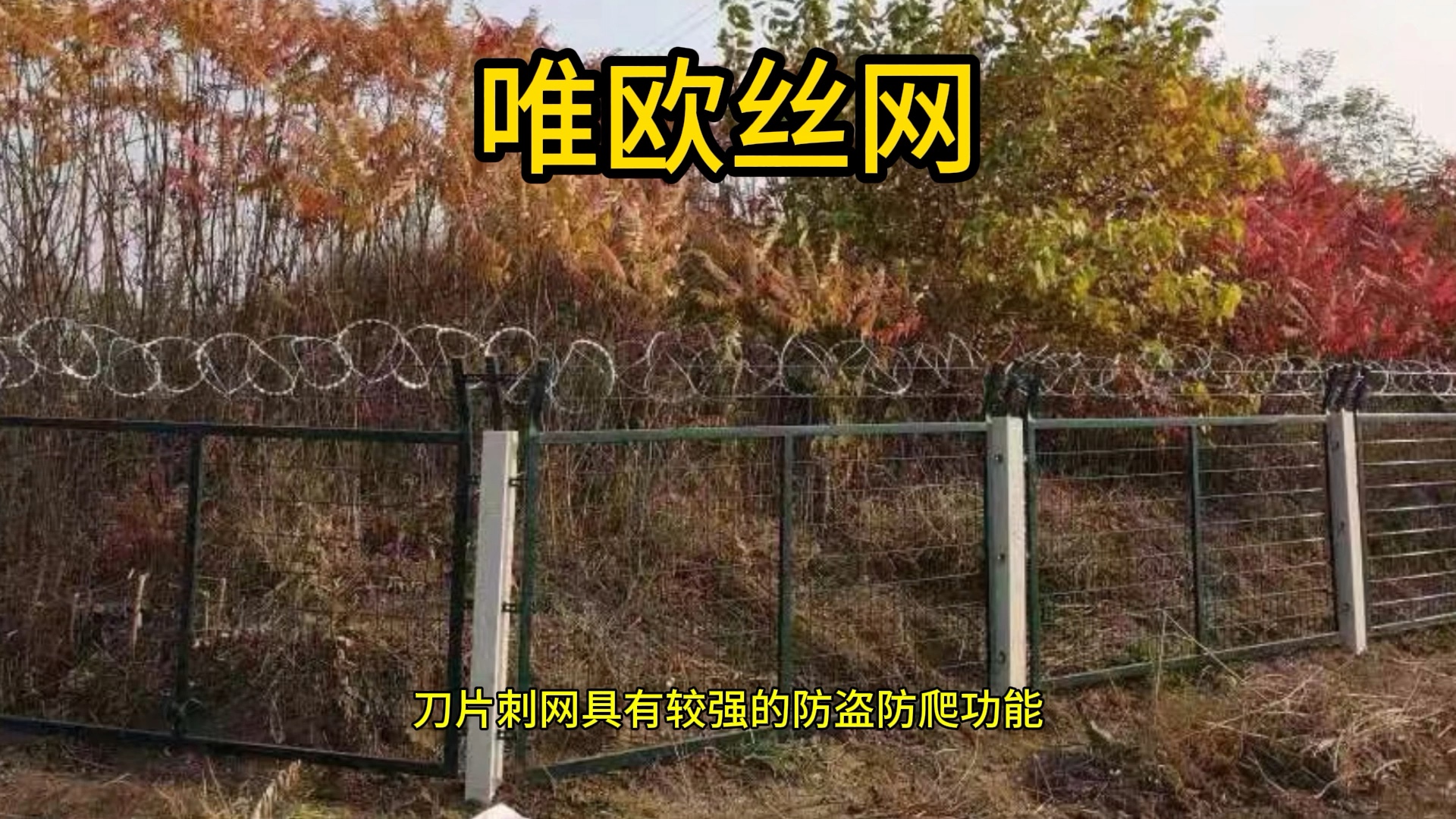 刀片刺绳与刀片刺网 围墙防盗防爬刺