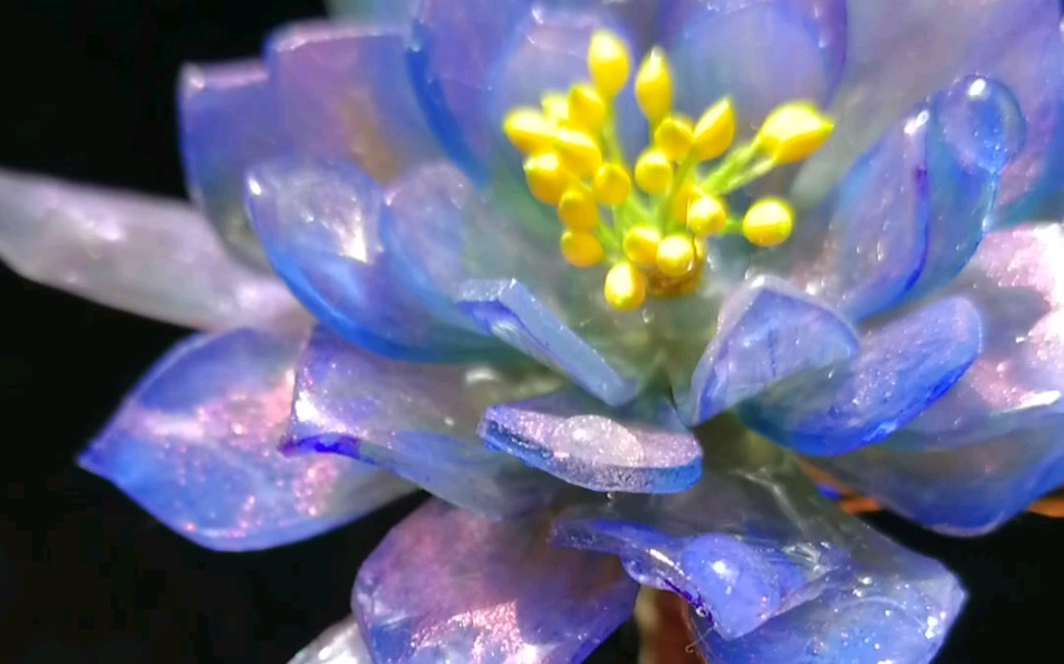 热缩,流光溢彩的紫昙