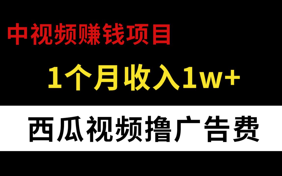 中视频 赚钱项目 ——西瓜视频撸广告费 如何做到月赚万元?哔哩哔哩bilibili