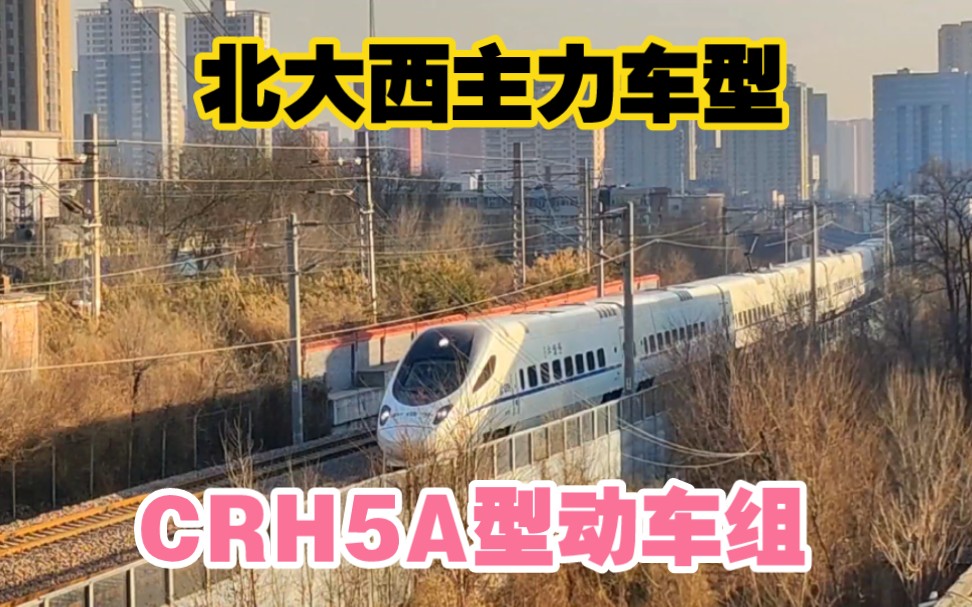 【动车鸣笛】山西太原,夕阳下实拍CRH5A型动车组通过市区,往古都大同驶去哔哩哔哩bilibili