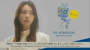 2【最安値】櫻坂46 小林由依　卒コン完… thumb001.png?height=504&