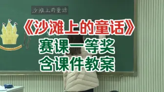 《沙滩上的童话》 优质课示范课公开课 【赛课一等奖】 （含课件教案）