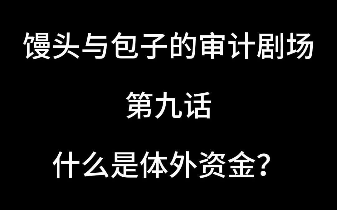 什么是体外资金?财务造假好帮手!哔哩哔哩bilibili