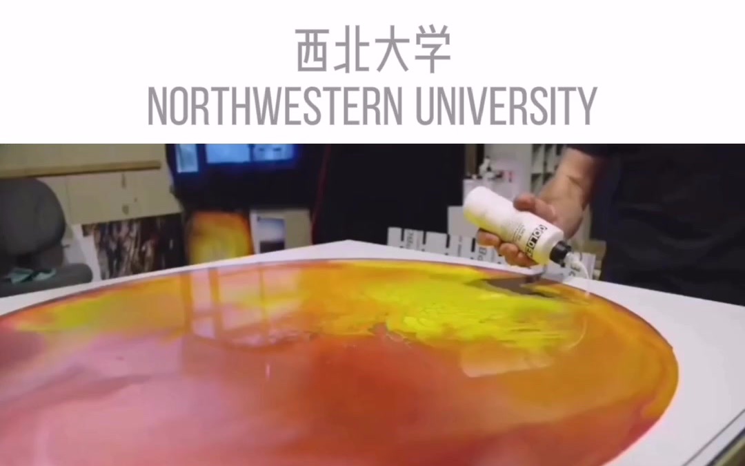 西北大学 Northwestern University哔哩哔哩bilibili