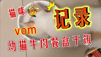 听说牛肉粉丝汤与猫猫更配哟_哔哩哔哩_bilibili