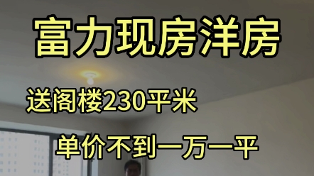 津南区咸水沽富力又一城 现房洋房 送阁楼 实验小学 四中片区哔哩哔哩bilibili