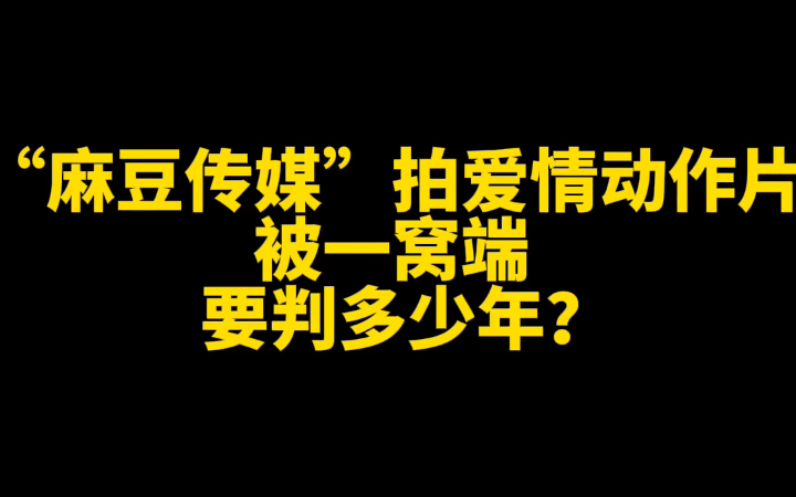 “麻豆传媒”等专业团队24人被抓,非法牟利500余万元,总点击量400余万,如何定罪量刑?哔哩哔哩bilibili