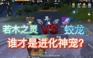 Download Video: 【若木之灵VS蛟龙】谁才是进化神宠？妄想山海宠物测试。