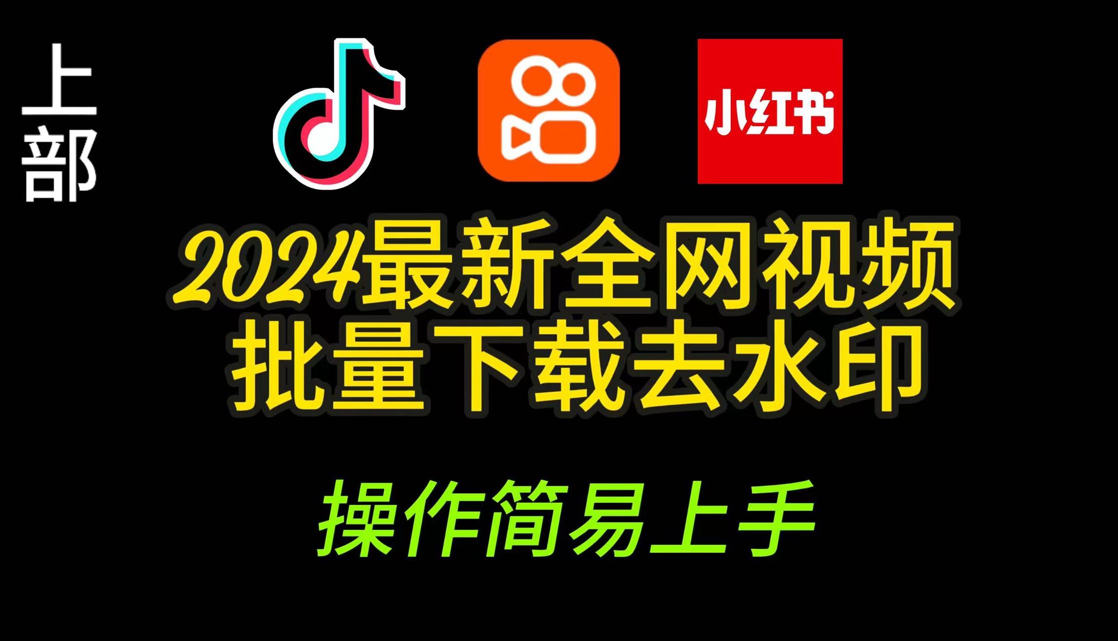 2024 最新全网视频下载去水印 | 抖音、快手、小红书 | 无限下载 | 简单操作易上手 |哔哩哔哩bilibili