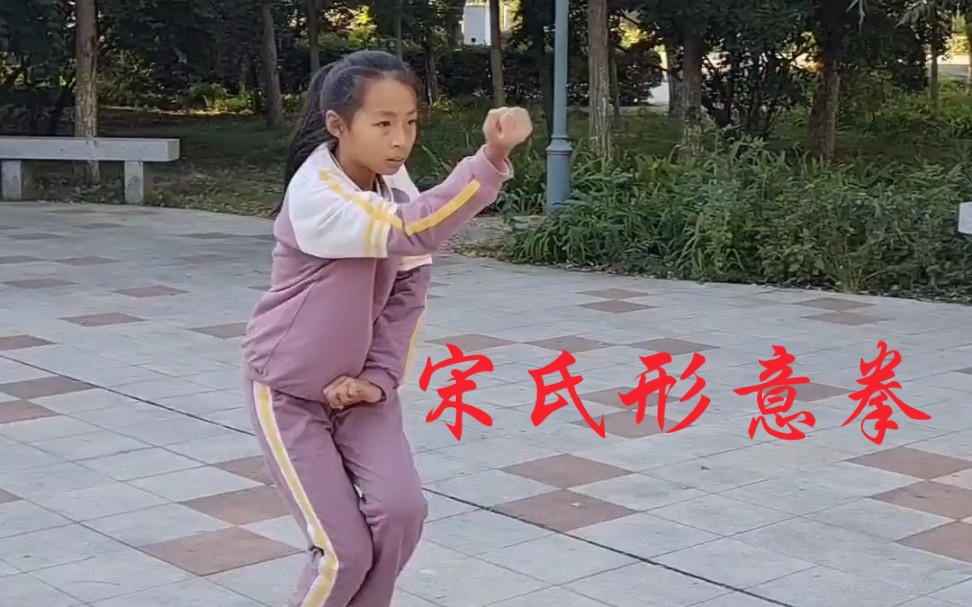 宋氏形意拳哔哩哔哩bilibili