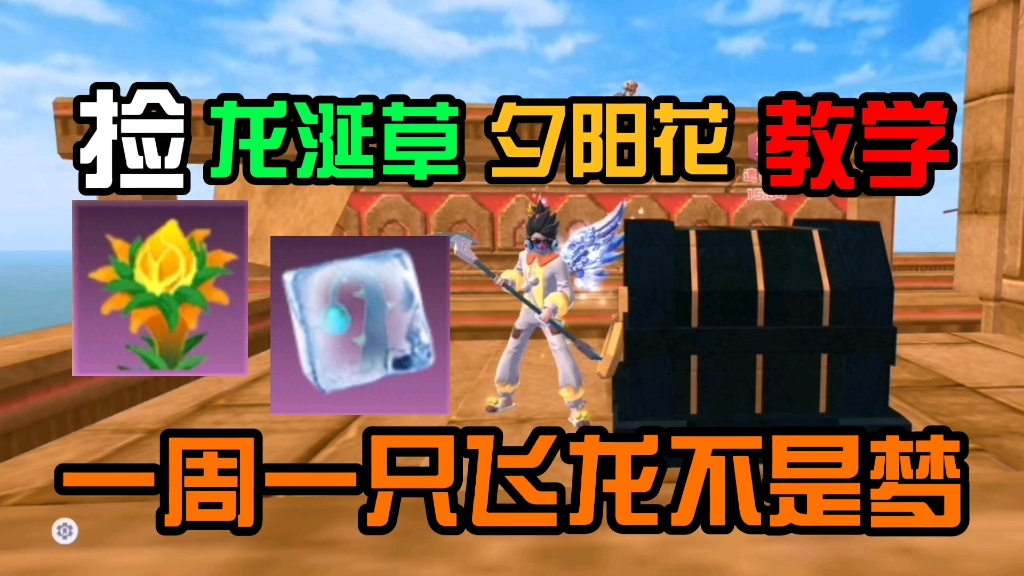 创造与魔法:捡龙涎草 夕阳花教学