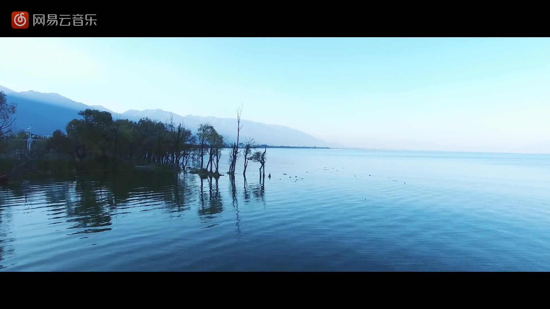 冯提莫 - 你在终点等我 (cover 王菲)