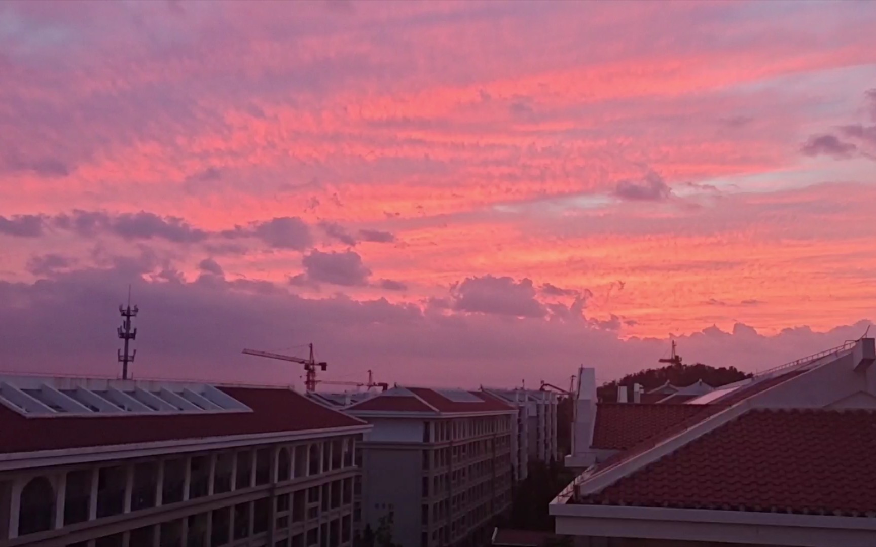 学校的粉红云霞是真滴好看!