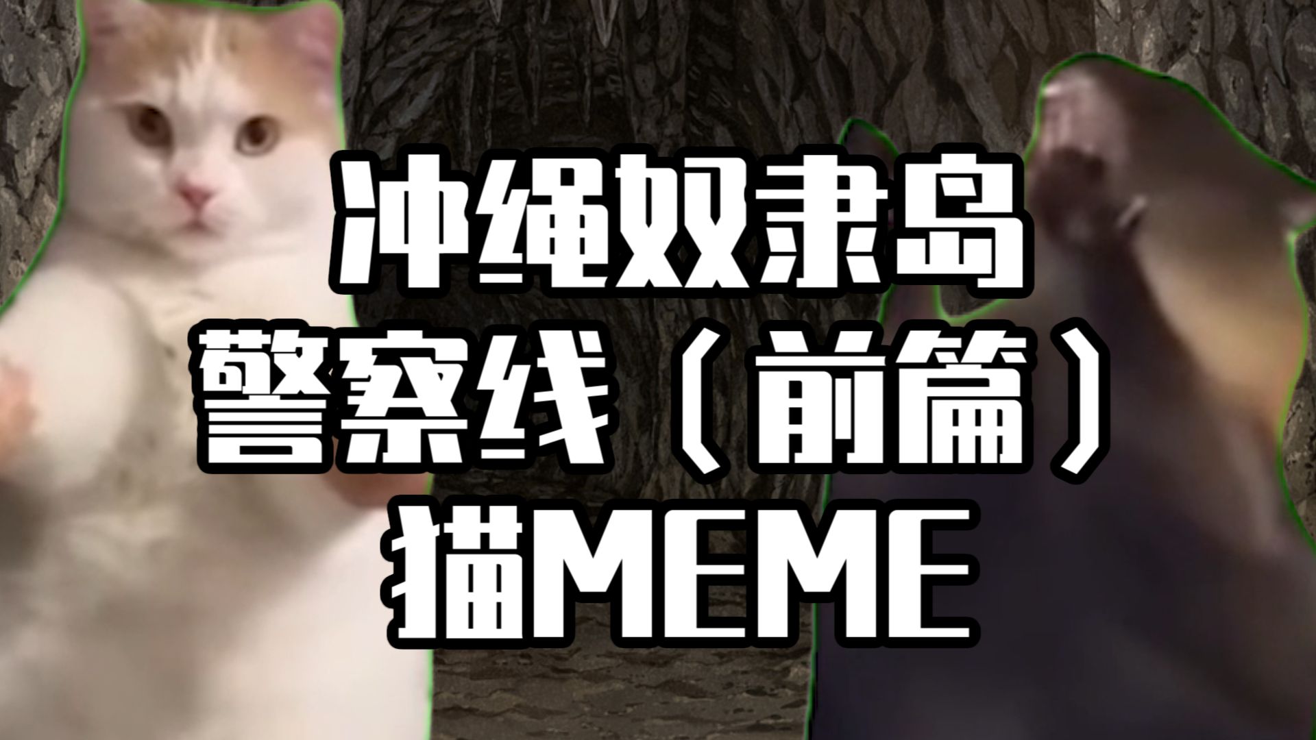 【猫meme】三分钟看完冲绳奴隶岛警察线(前篇)哔哩哔哩bilibili