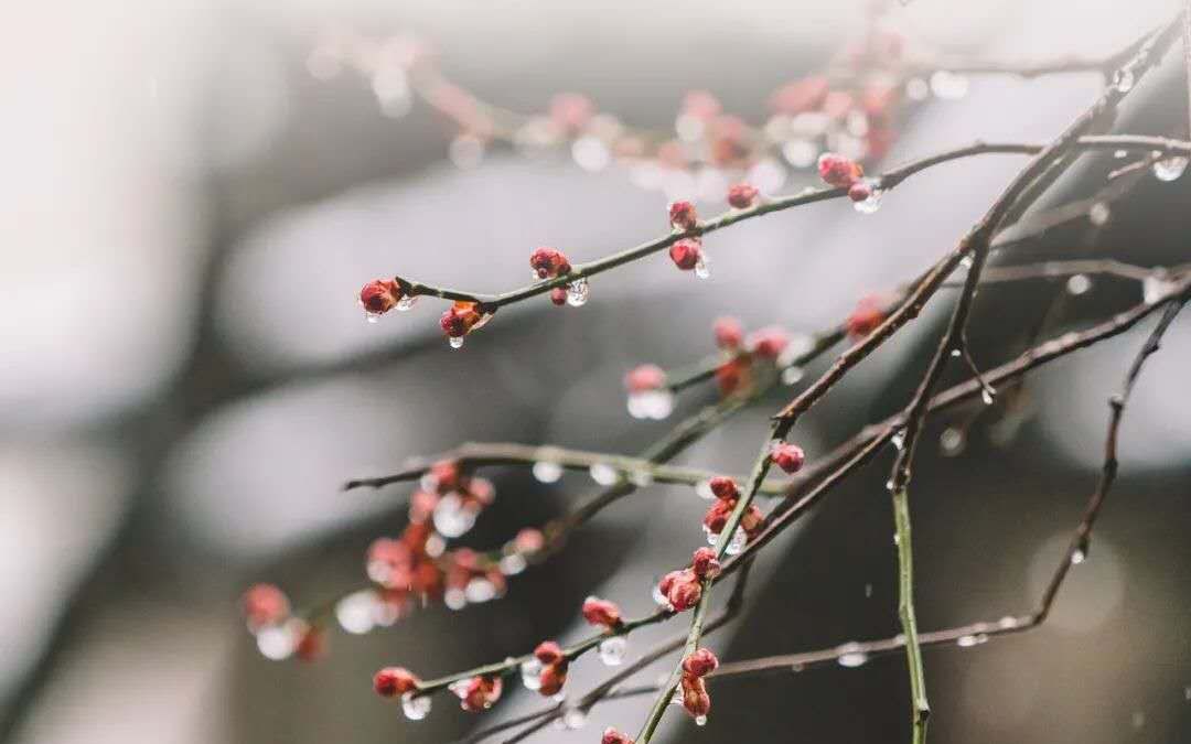 [图]百善孝为先, 孝的教育是一切德行的根本,是教化产生的根源