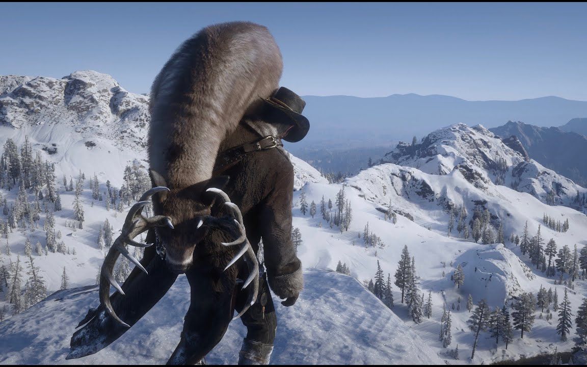 荒野大镖客2 (狩猎的快乐)