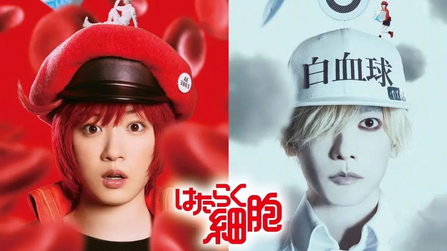 【12月】佐藤健 X 永野芽郁!漫改真人电影《工作细胞》先导预告哔哩哔哩bilibili