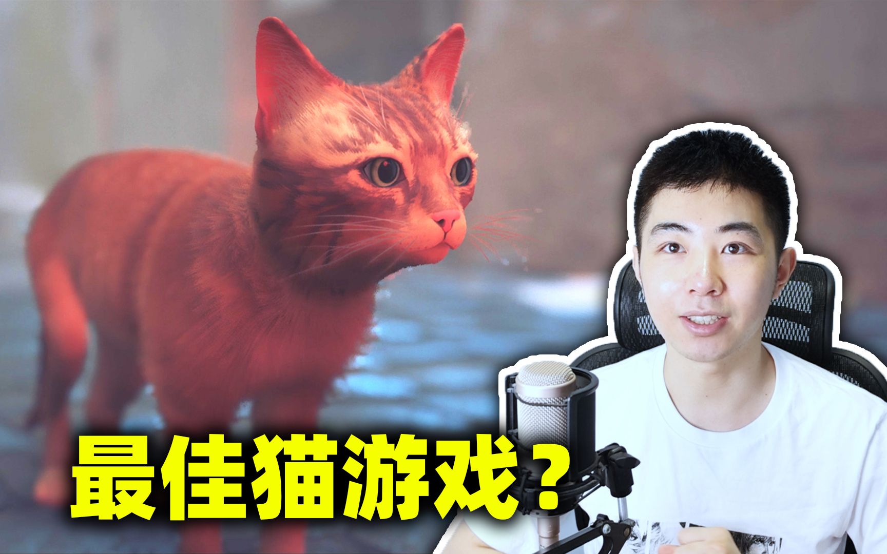 猫咪失足掉入地底赛博朋克世界?这个游戏爱猫人狂喜《迷失stray》剧情