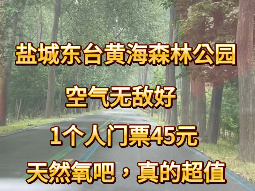 开跑车全国自驾游盐城东台逛黄海森林公园,天然氧吧名不虚传!哔哩哔哩bilibili