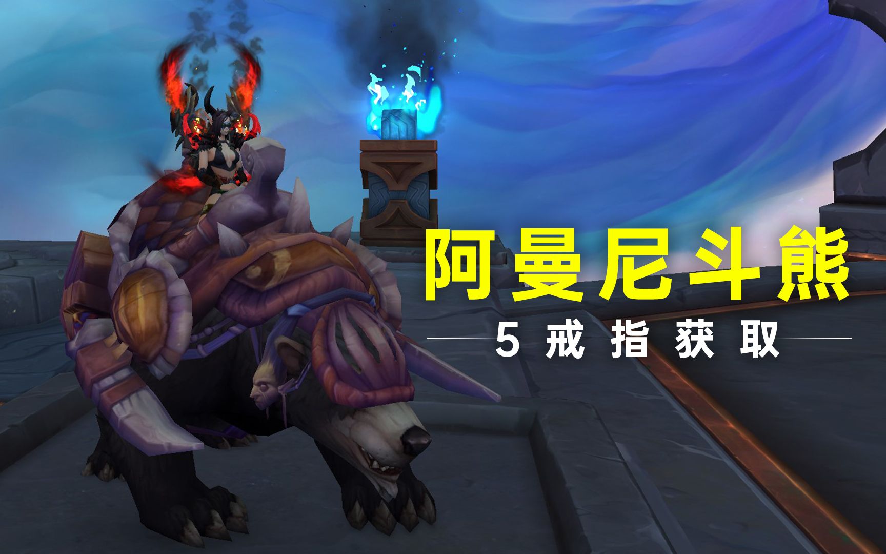 《WOW魔兽世界》白给坐骑,阿曼尼斗熊,青铜幼龙.魔兽游戏攻略