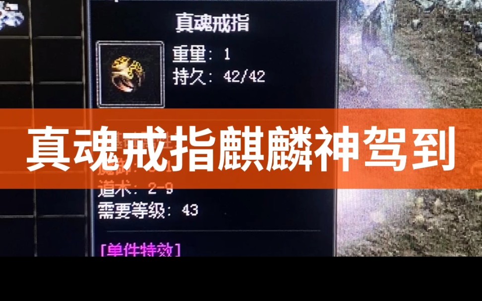 真魂戒指麒麟神驾到_热血传奇