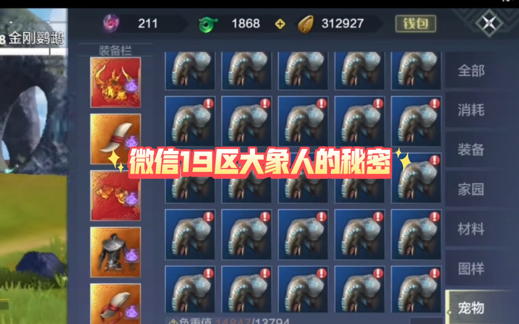 妄想山海60级大象刷新点分享(附沉浸式抓大象)