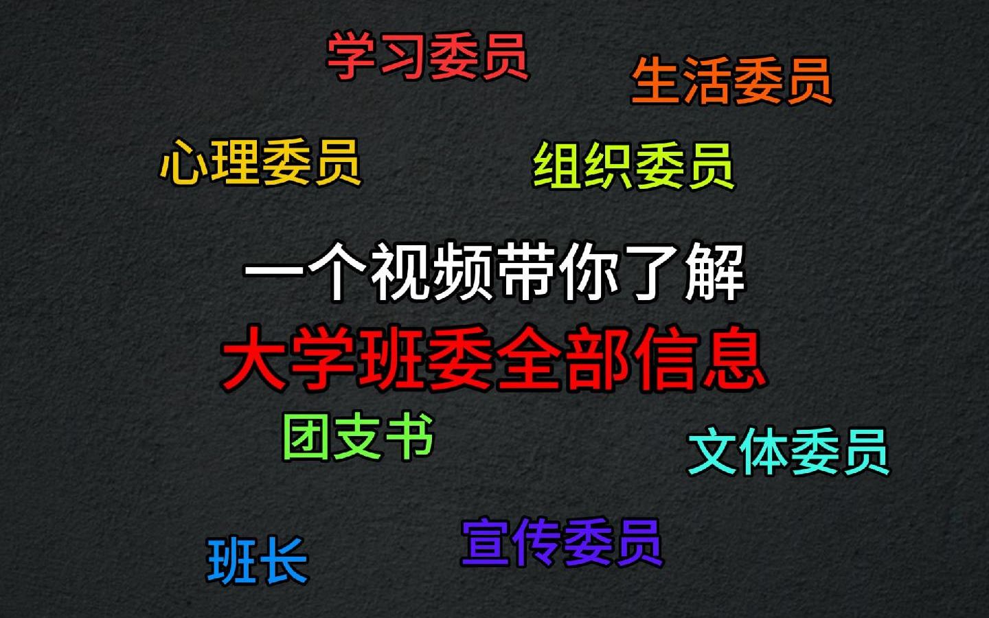 大一新生必看的班委知识,大学班委有哪些?你适合什么班委?怎么竞选班委?一个视频帮你解惑哔哩哔哩bilibili