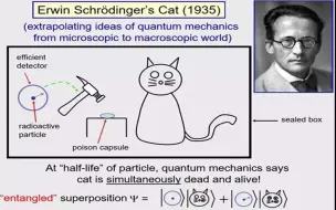 Скачать видео: 诺贝尔物理学奖获得者 David Wineland-量子计算机和薛定谔的猫有什么关系？怎样控制量子计算机的量子态？【墨子沙龙】