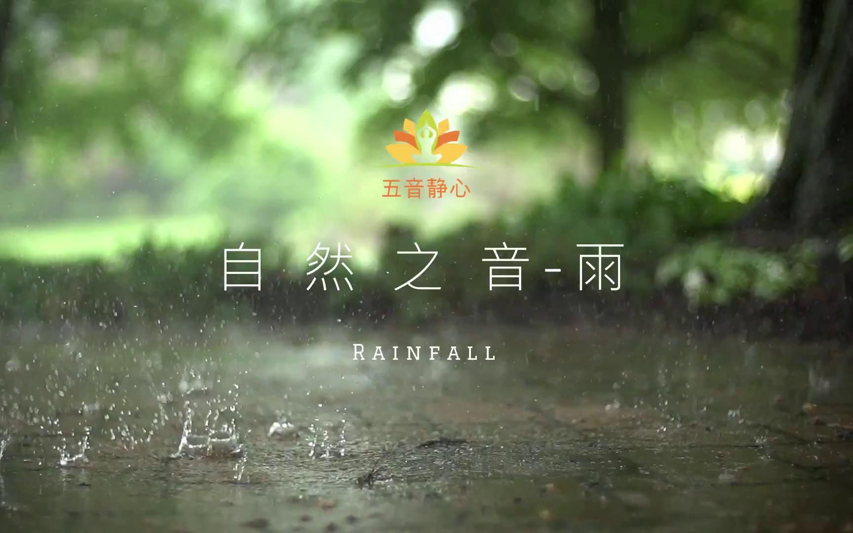 自然之音雨哔哩哔哩bilibili