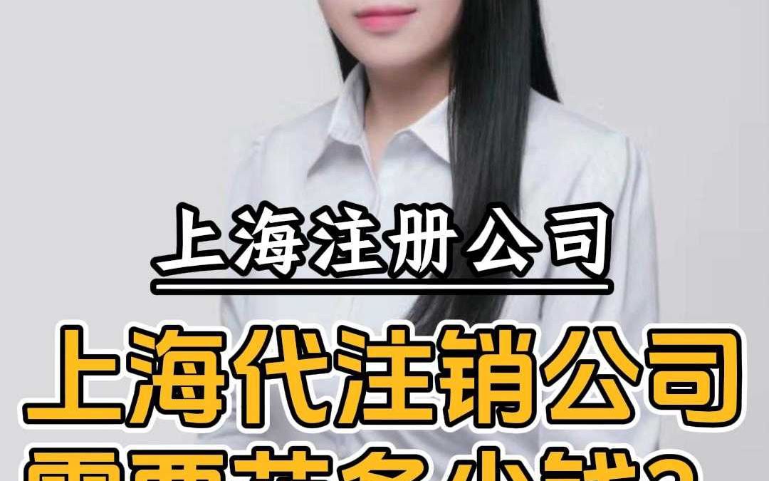 上海代注销公司需要花多少钱?哔哩哔哩bilibili