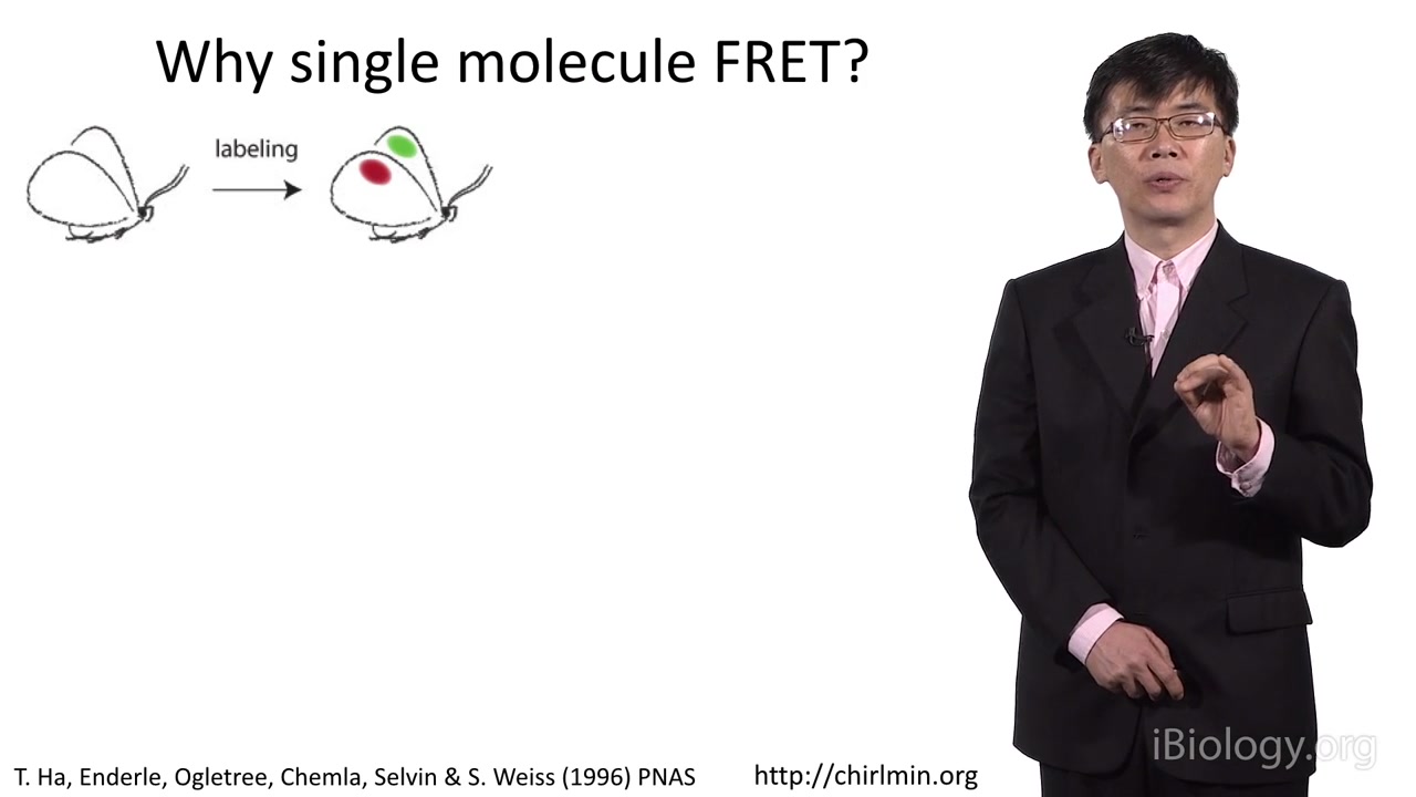 Taekjip Ha (Johns Hopkins) 单分子相关研究 ibiology哔哩哔哩bilibili