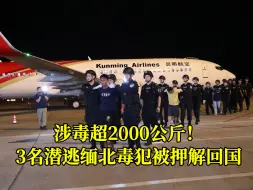 Download Video: 涉案毒品2000余公斤！3名潜逃缅北涉毒逃犯被押解回国