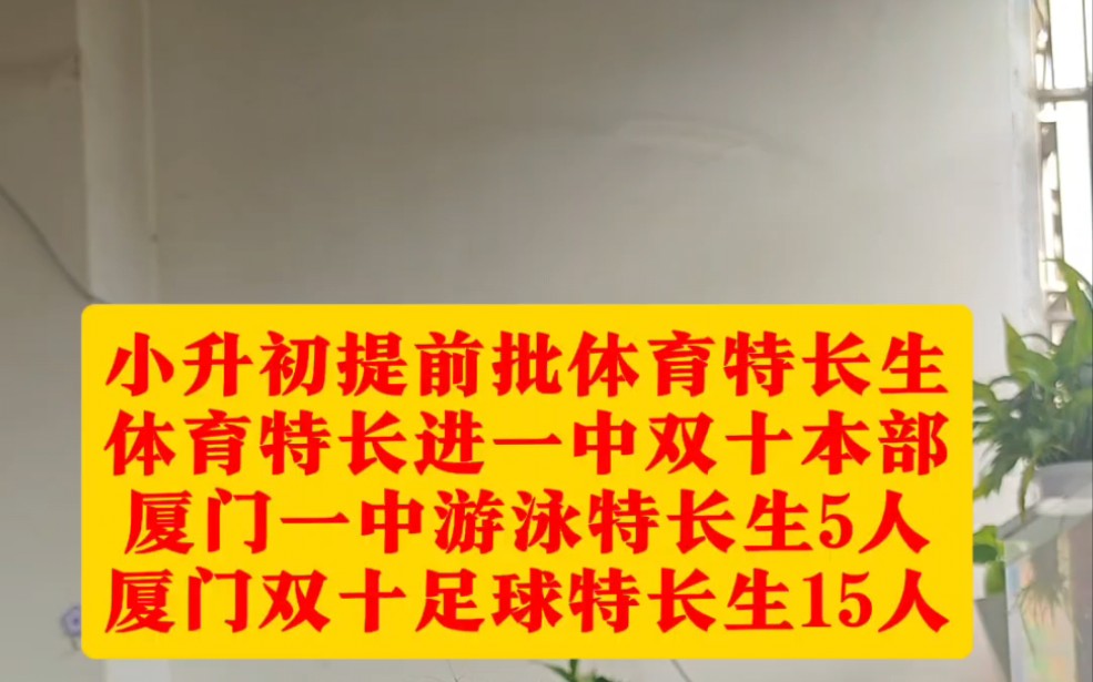 厦门小升初提前批体育特长生有哪些?厦门一中游泳特长生,厦门双十中学足球特长哔哩哔哩bilibili