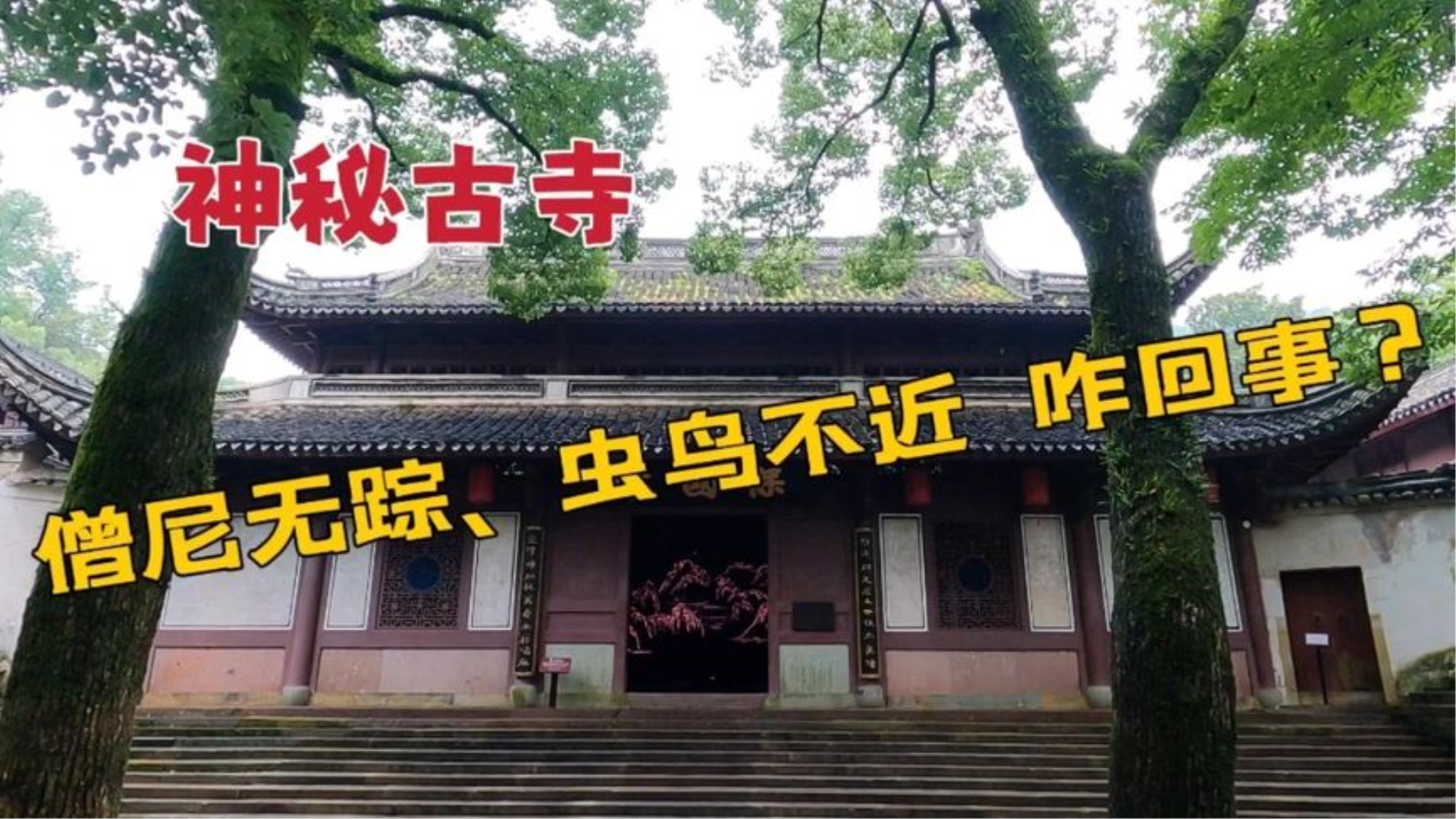 [图]浙江密林发现神秘古寺，寺内竟没有一位僧尼，大雄宝殿暗藏玄机