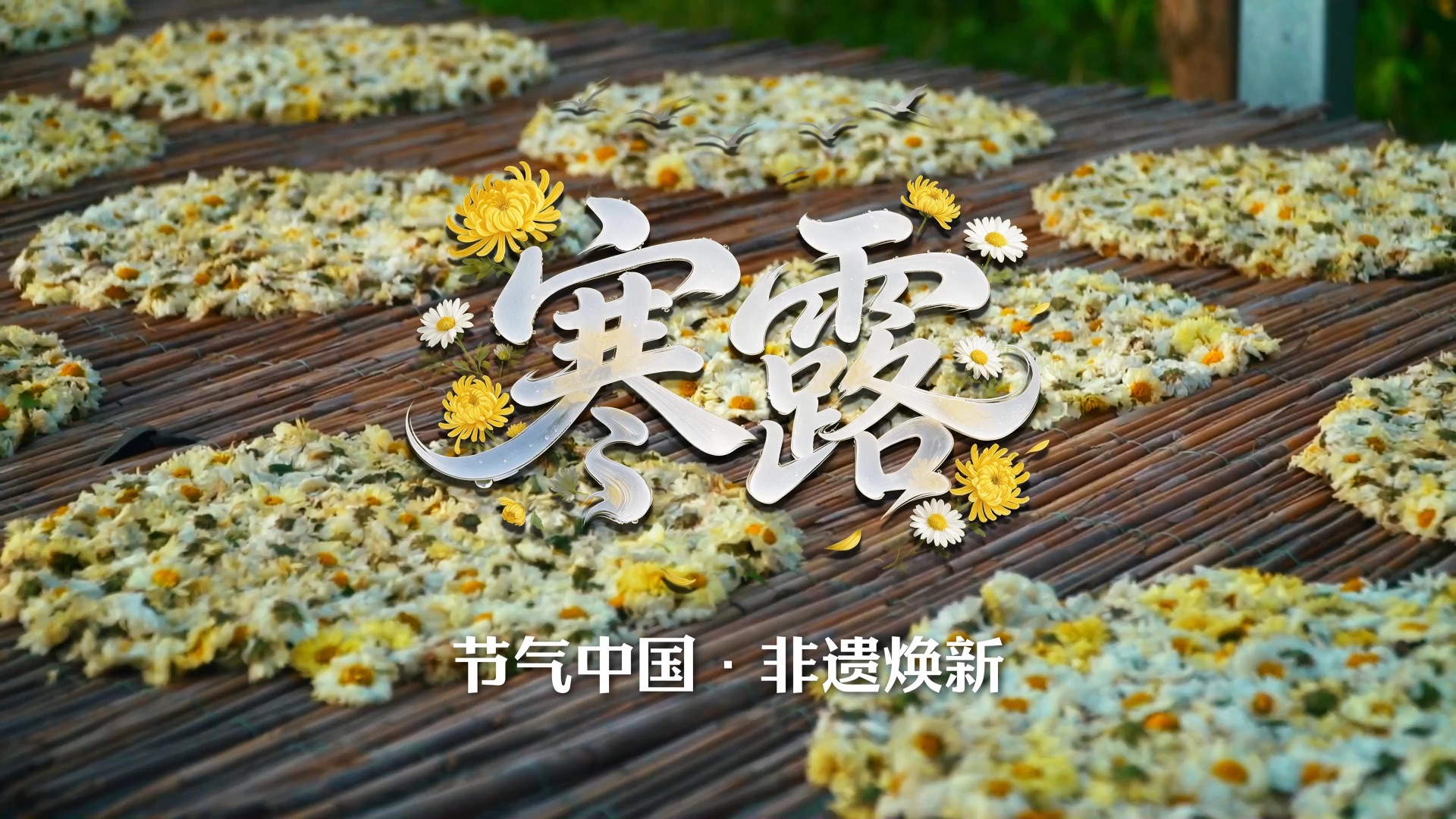 寒露寒露，遍地冷露。