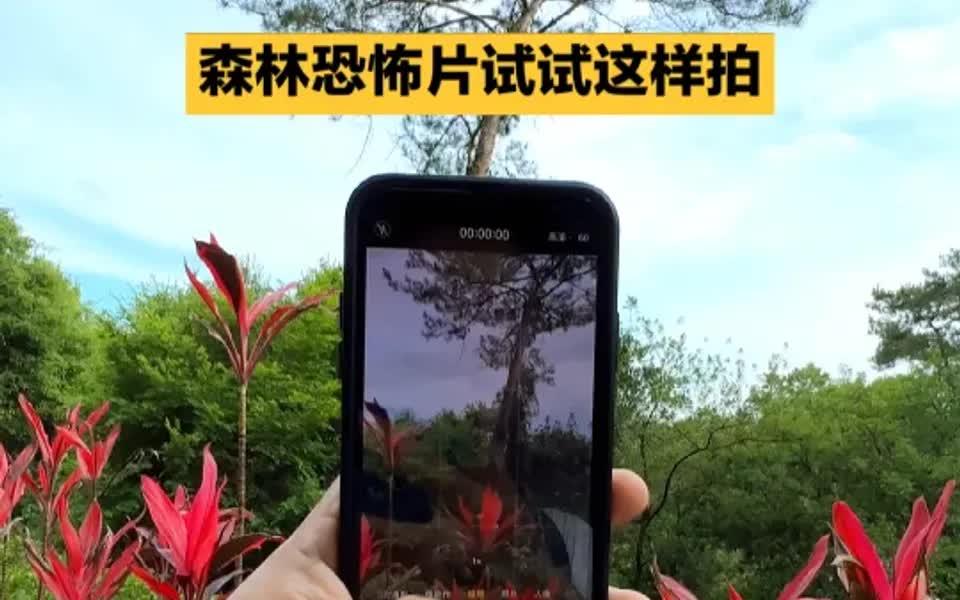 [图]森林恐怖片试试这样拍