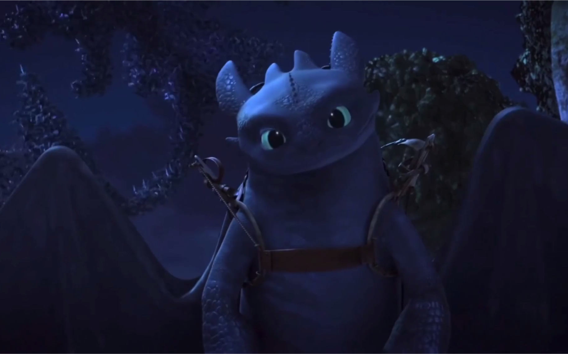 【驯龙高手】【可可爱爱无牙仔-5】牙仔:快看有两个我!