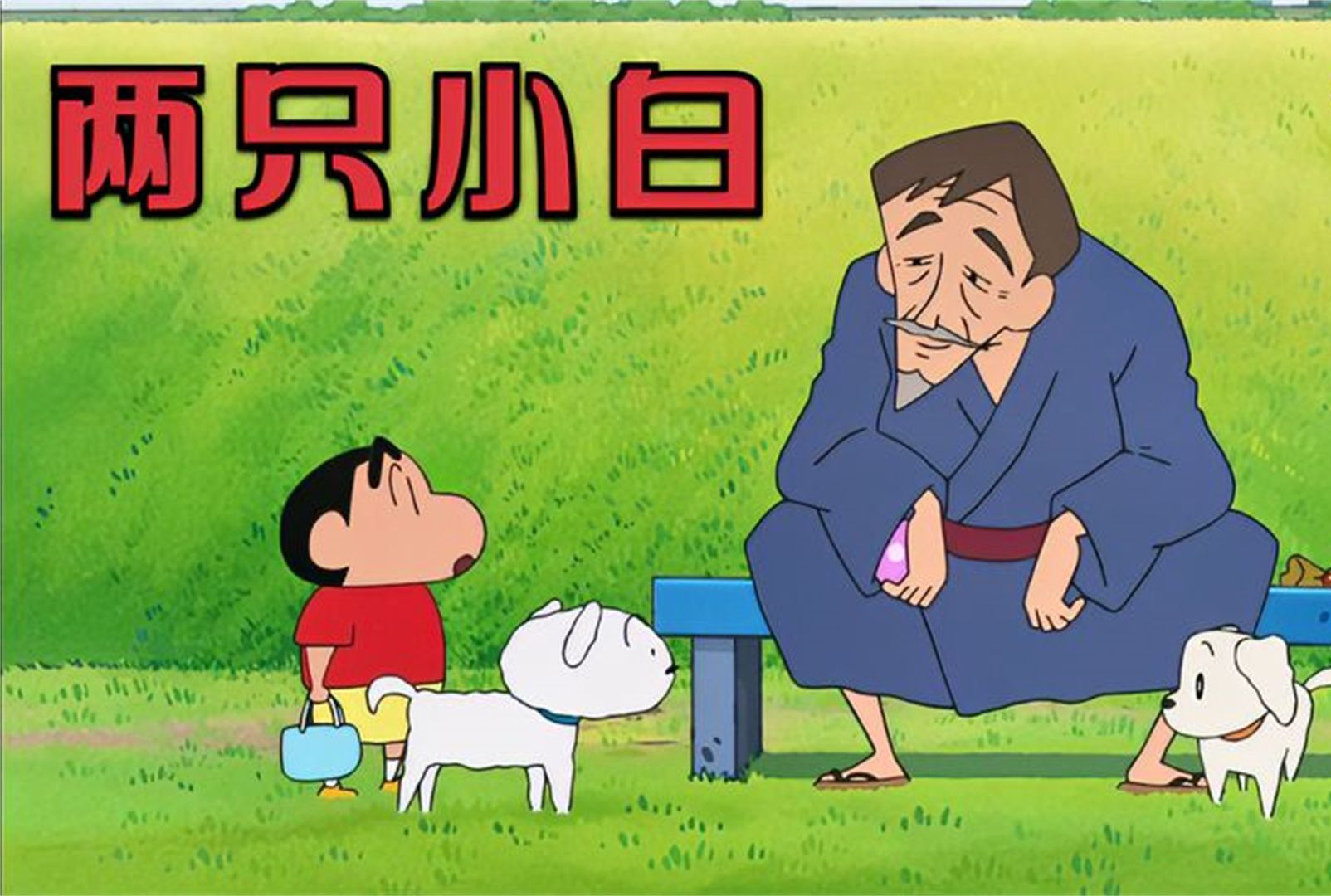 蜡笔小新:小白遇到小小白,却赶上小新一家要搬到墨西哥