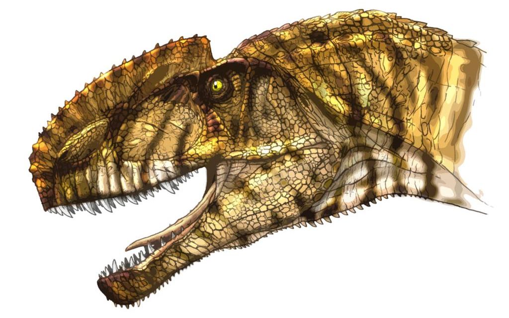 兽脚类中的异类?早侏罗三巨头之一,兽脚类始皇双脊龙