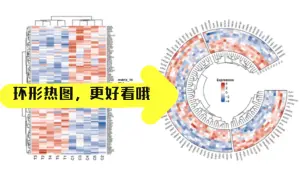 Download Video: R语言做KEGG富集分析的差异基因环形热图第一节课