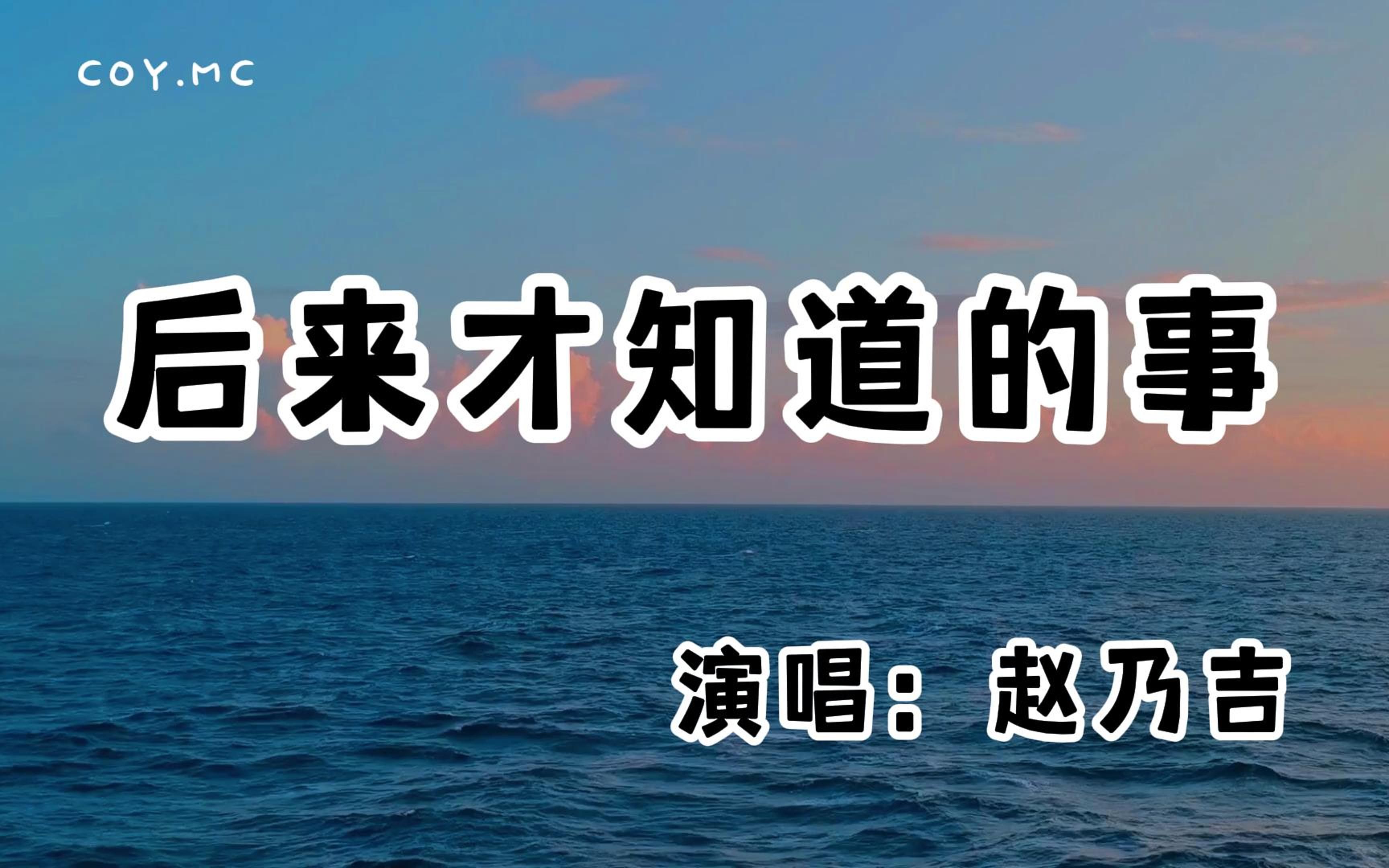 赵乃吉  后来才知道的事『我们太幼稚太放肆太过自以为是』(动态歌词/Lyrics Video/无损音质/4k)哔哩哔哩bilibili