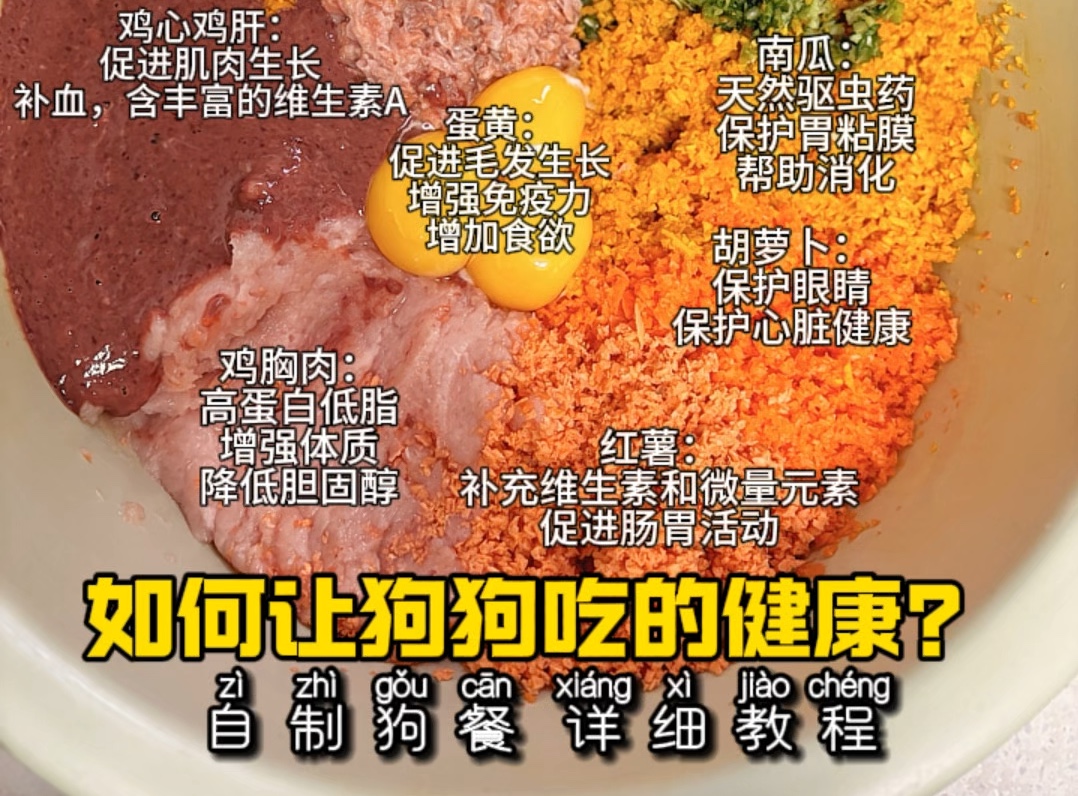 如何让狗狗吃得健康?自制狗餐详细教程!省钱营养狗粮鲜食! #科学养宠攻略 #养狗经验分享 #自制狗饭 #狗狗零食推荐 #狗狗配餐 #比熊 #小狗 #狗狗 #萌...