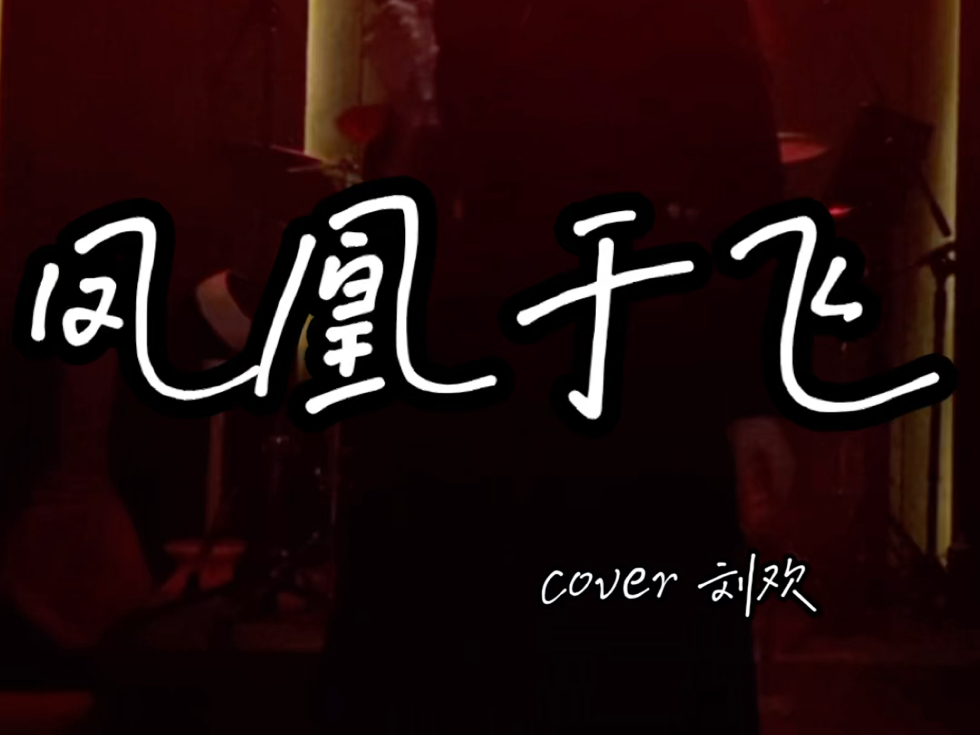 〖live完整版〗《凤凰于飞》 刘欢 「金帅cover」哔哩哔哩bilibili