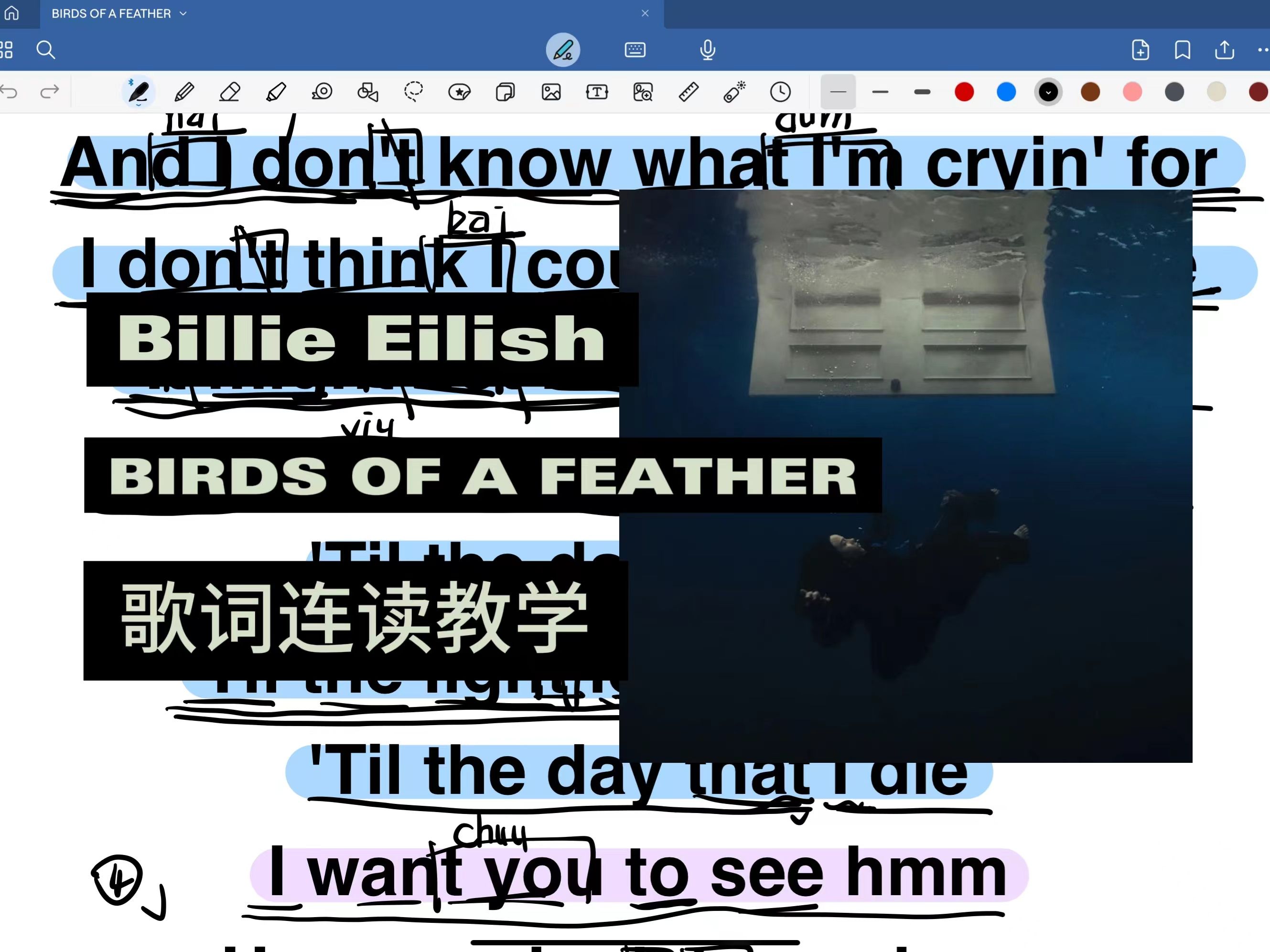 Billie Eilish BIRDS OF A FEATHER 歌词连读教学哔哩哔哩bilibili