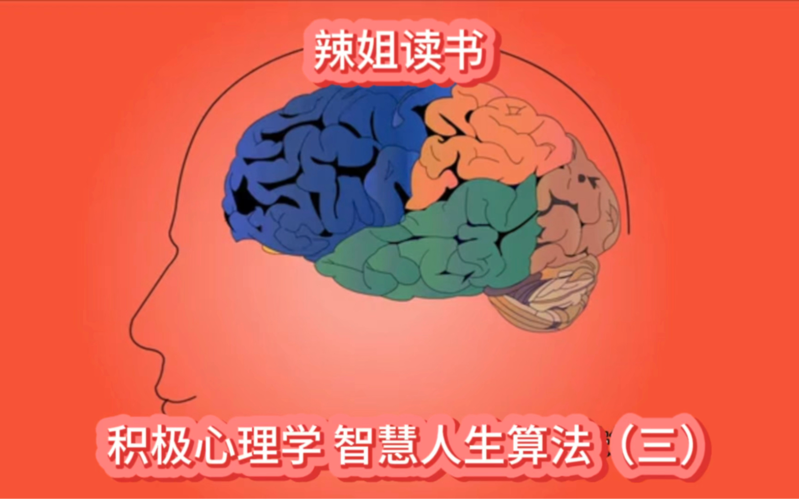 积极心理学与幸福人生算法(三)哔哩哔哩bilibili