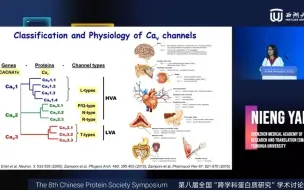 Скачать видео: 电压门控钠离子通道的结构药理学研究-颜宁