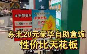 Download Video: 东北20元高端豪华自助盒饭你见过吗，性价比高得吓人，菜品超级丰富