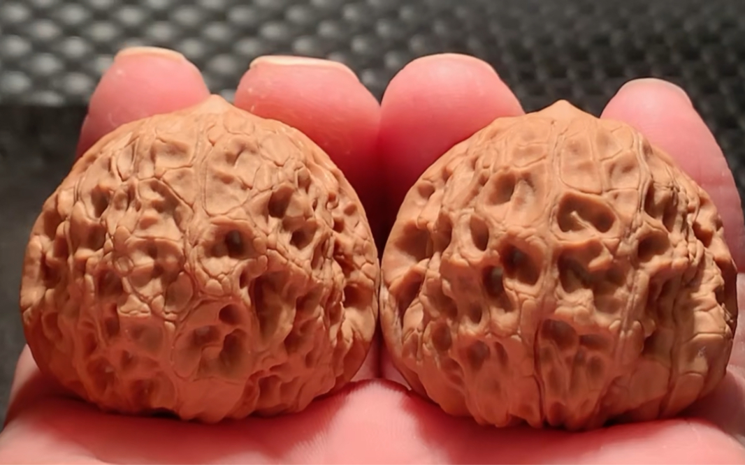 297号精配41x43圆球型小众平谷大团圆骨质纹路真棒 皮色皮质挺漂亮