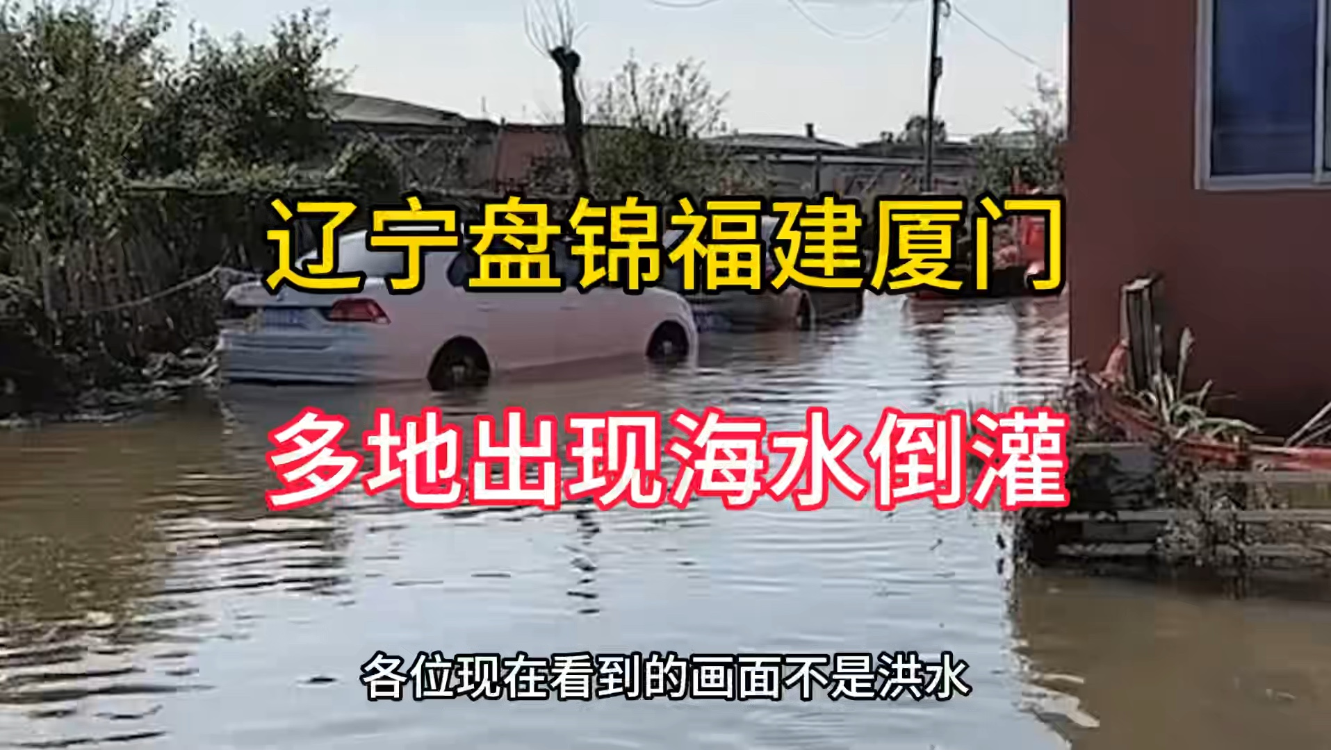 辽宁盘锦和福建厦门多地出现海水倒灌,平房都被淹了哔哩哔哩bilibili